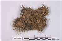 藏品(地卷屬)的圖片